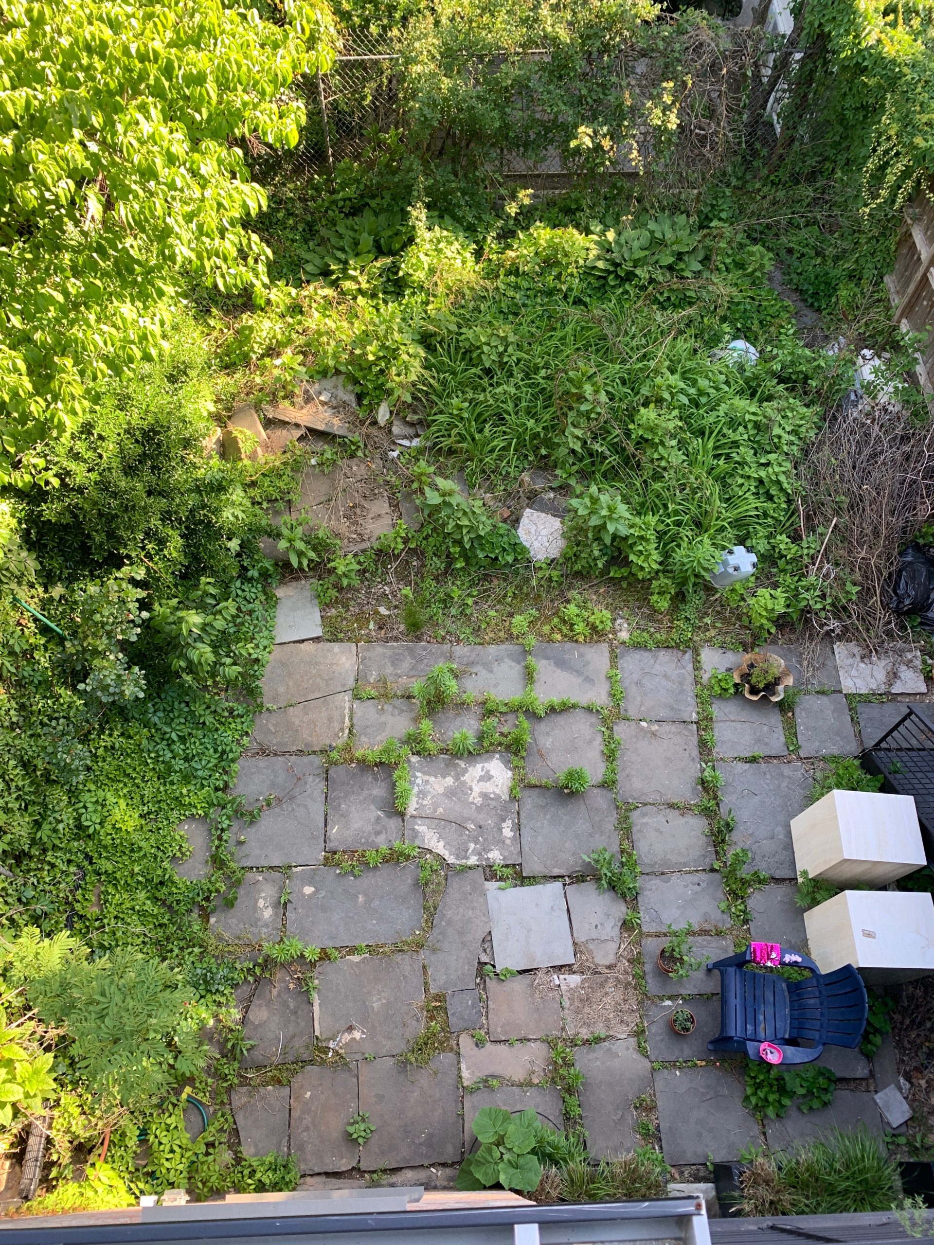 The One Area of Athena’s Brooklyn Home You’ve Never Seen: The Garden!